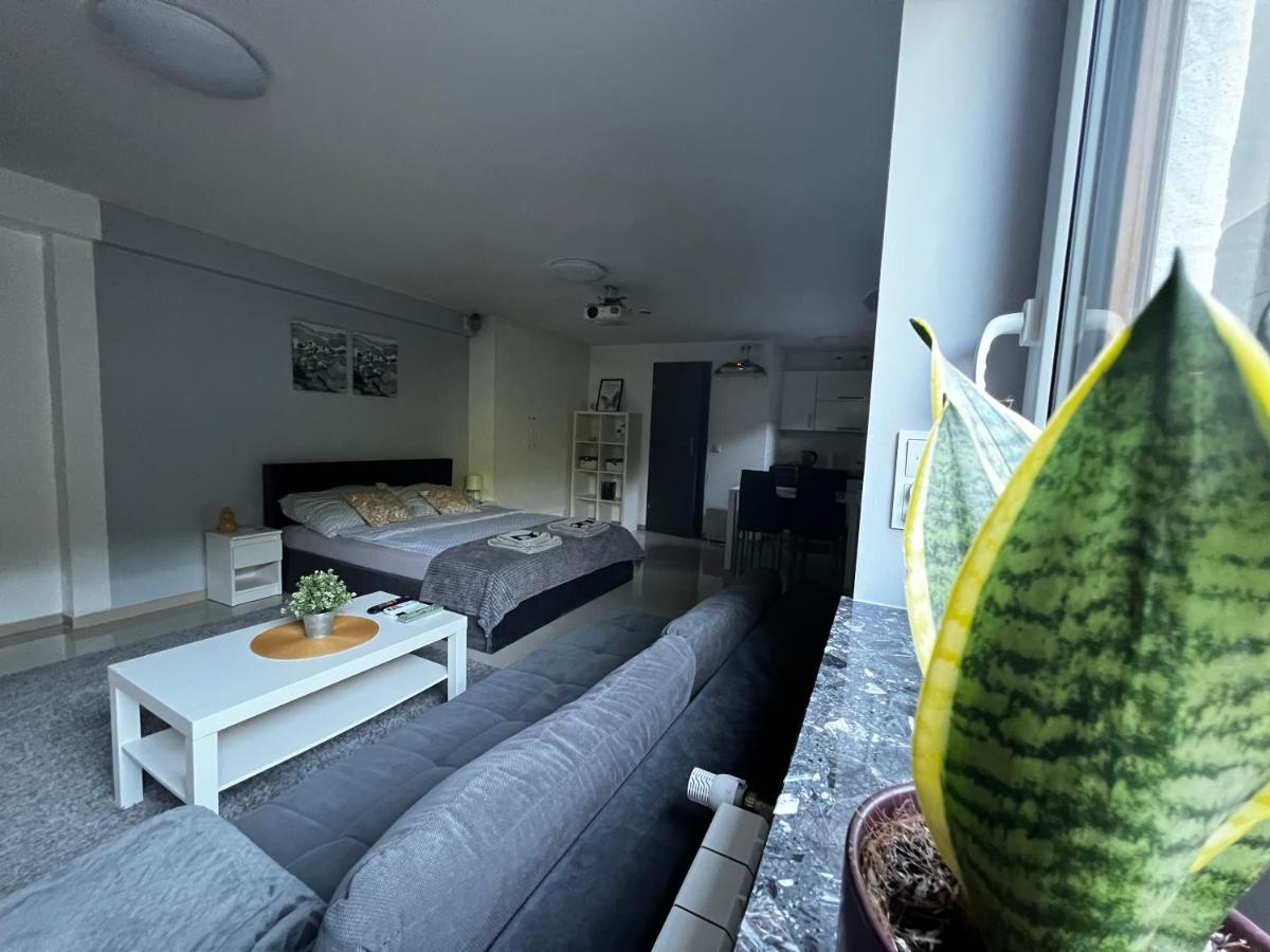 Apartament Play Pietrzykowice  Экстерьер фото