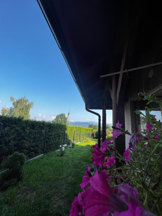Apartament Play Pietrzykowice  Экстерьер фото